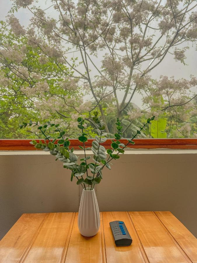 Cosiana Homestay 닌빈 외부 사진